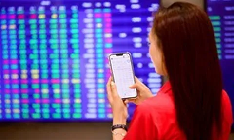 Cổ phiếu Digiworld bất ngờ giảm sàn dù lợi nhuận quý 3 tăng 66%