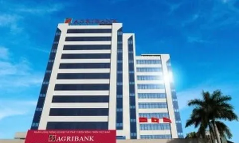 Fitch Ratings đánh giá gì về sức khỏe tài chính của Agribank?