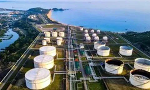 Doanh nghiệp xăng dầu lãi đậm