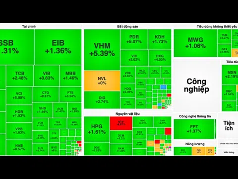 VN-Index bừng tỉnh tăng gần 20 điểm