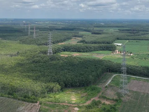 Đóng điện nhánh rẽ đường dây 220kV đấu nối từ TBA 500kV Chơn Thành