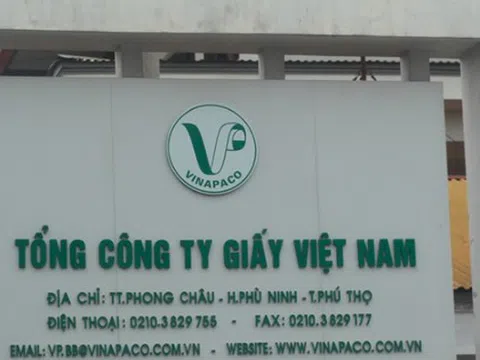 Quyết định thanh tra tại Tổng công ty Giấy Việt Nam