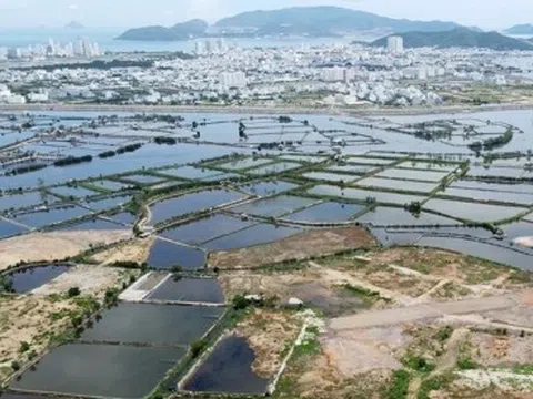 Khánh Hòa đấu thầu lựa chọn nhà đầu tư dự án hơn 226 ha tại Nha Trang