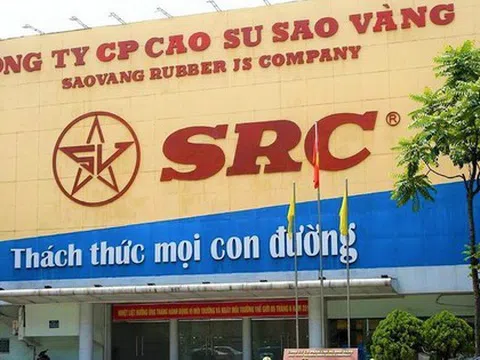 Cao su Sao Vàng bị phạt và truy thu thuế 1,3 tỷ đồng