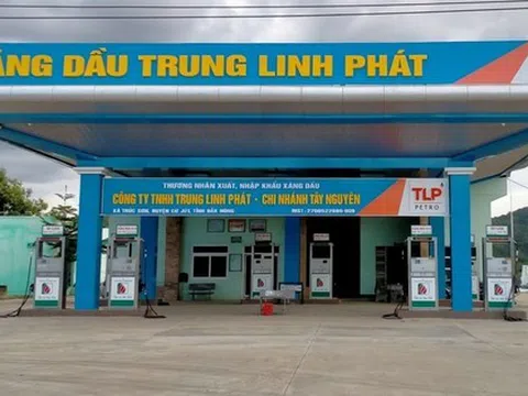 Một doanh nghiệp xăng dầu bị tước giấy phép