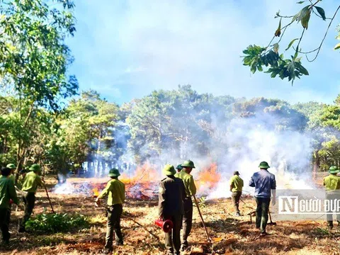 Gia Lai: "Kích hoạt" phương án phòng chống cháy rừng dịp cuối năm