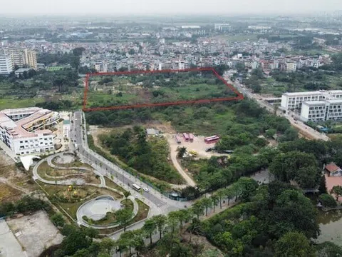 Đấu giá khu đất gần 44.000 m2 tại quận Hoàng Mai, Hà Nội