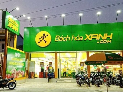 Bách Hoá Xanh lên tiếng về việc đã mua giá đỗ ngâm hoá chất ở Đắk Lắk