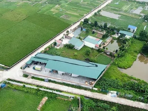 Quy định mới chuyển đất nông nghiệp sang đất thổ cư 2025, người dân cần nắm rõ