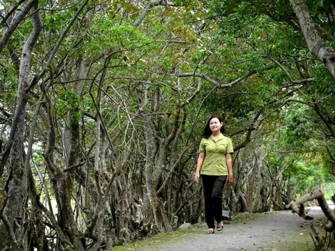 "Nhân bản" khu rừng ngập mặn nguyên sinh duy nhất trên hệ đầm phá lớn nhất Đông Nam Á