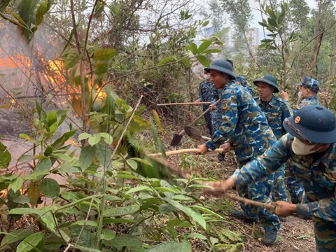 Quảng Ninh: Xuyên đêm chữa cháy rừng ở Bãi Cháy