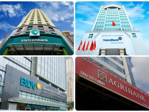 Agribank, Vietinbank và BIDV báo lãi lớn năm 2024, gia nhập câu lạc bộ ‘tỷ USD’: Vietcombank thì sao?