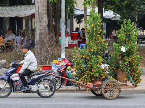 Kiếm tiền triệu mỗi ngày dịp cận Tết, hàng loạt xe ôm 'bỏ khách'