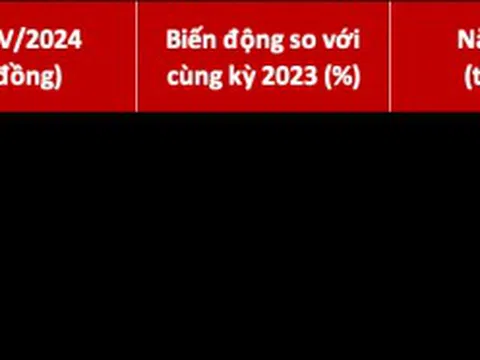 DNSE đạt doanh thu 829 tỷ đồng năm 2024