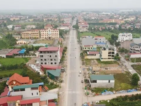 Ngay sau Tết, một địa phương sẽ đấu giá hàng trăm lô đất