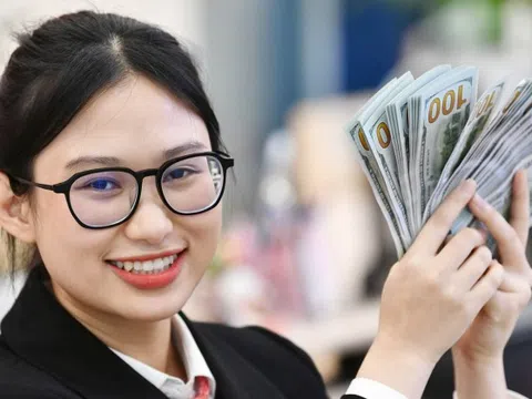 Giá USD ngân hàng tăng dữ dội, chiếm lại mốc 25.000 đồng