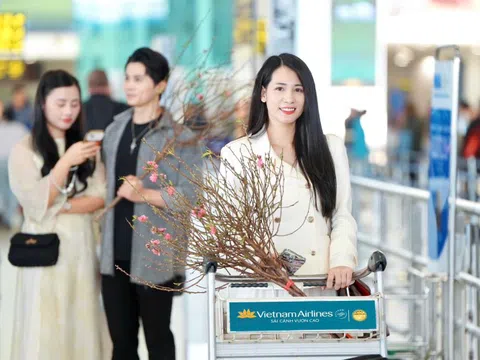 Vietnam Airlines vận chuyển mai đào Tết Nguyên Đán Ất Tỵ 2025