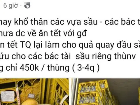 Thực hư “giải cứu” sầu riêng giá siêu rẻ