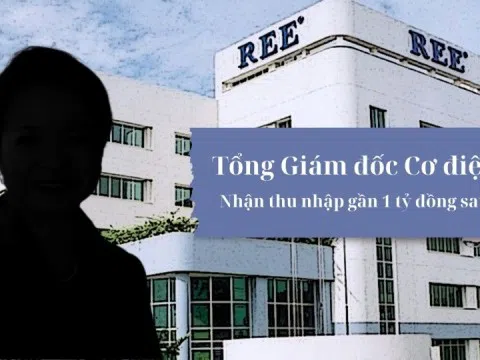 Tân Tổng Giám đốc REE: Nhận thù lao gần 1 tỷ đồng một tháng, sở hữu khối tài sản lên đến 4.000 tỷ đồng