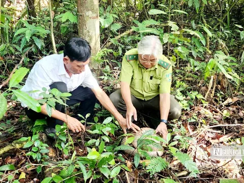 Bình Phước sẽ làm gì để nói không với sử dụng động vật hoang dã?