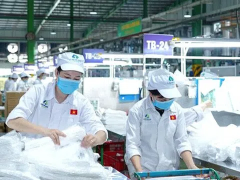 An Phát Holdings đặt mục tiêu lợi nhuận năm 2025 bằng một nửa năm 2024