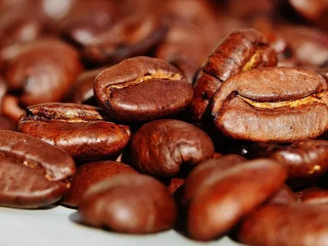 Giá cà phê hôm nay 11/2/2025: cà phê 2 sàn tăng mạnh, Arabica gây sốc