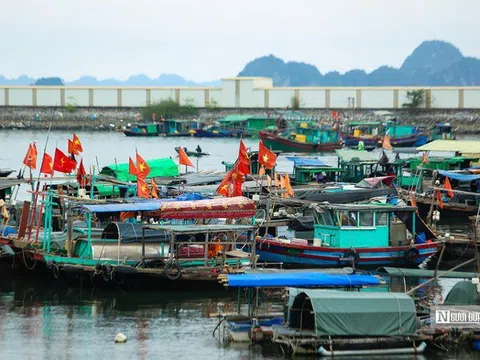 Siết chặt xử lý vi phạm hành chính trong khai thác thủy sản