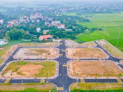 Hà Nội: Đất đấu giá tại huyện ngoại thành giảm 13,2 triệu đồng/m2