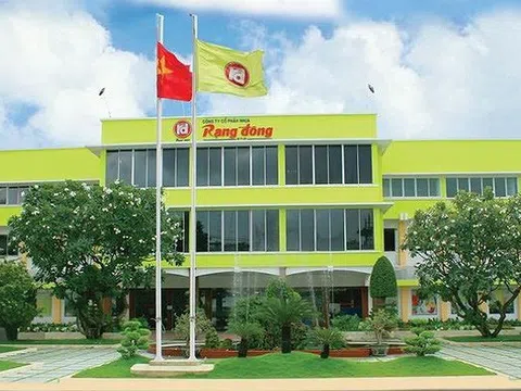 2 công ty tên tuổi Điện Quang, Nhựa Rạng Đông do các em cựu thứ trưởng Hồ Thị Kim Thoa dẫn dắt đồng loạt báo lỗ cả trăm tỷ: Điều gì đang xảy ra?