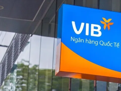 Một công ty chứng khoán bất ngờ sở hữu gần 30 triệu cổ phiếu VIB