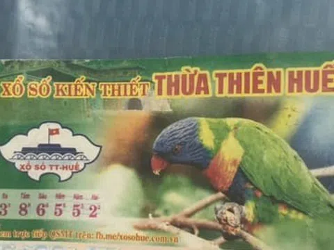 Vụ kiện từ chối trả thưởng tờ vé số trúng hai tỷ đồng: Hoà giải thất bại