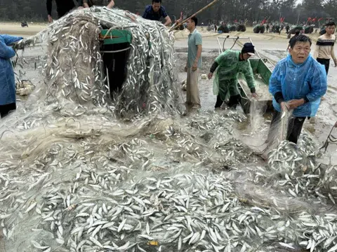 Vừa trúng đậm gần 1,5 tấn cá trích, tàu ngư dân bị sóng đánh lật