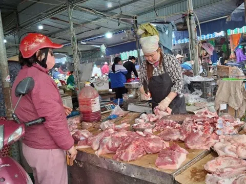 Giá thịt lợn ‘nhảy đồng’, chủ trang trại ở Hải Phòng thừa nhận tình cảnh chăn nuôi hiện tại