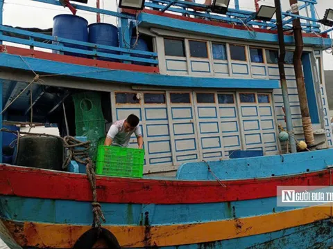 200 tàu cá của ngư dân Bình Định thí điểm gom rác thải nhựa từ biển vào bờ