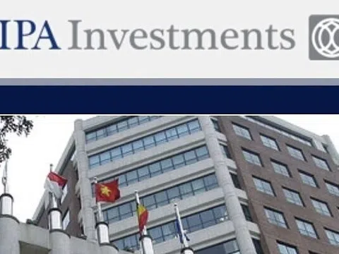 Đầu tư I.P.A (IPA) bị xử phạt 400 triệu đồng vì nhiều sai phạm trong công bố thông tin và quản trị