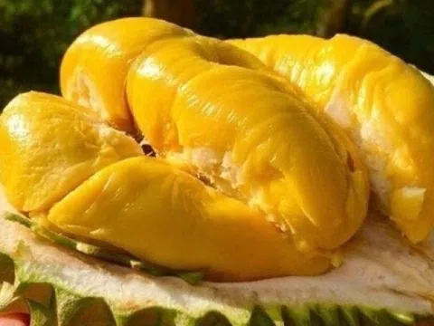 Sầu riêng Việt tìm được 'người đóng thế' giữa lúc bị Trung Quốc làm khó