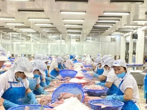 Nước nào tiêu thụ cá tra Việt Nam lớn nhất thế giới?