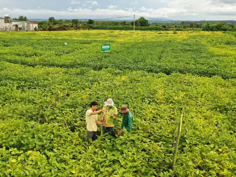 Vinasoy được vinh danh "Doanh nghiệp tiên phong trong quản lý tài nguyên bền vững"