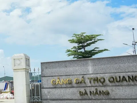 Hơn 65 tỷ đồng cải tạo môi trường âu thuyền, cảng cá lớn nhất Đà Nẵng