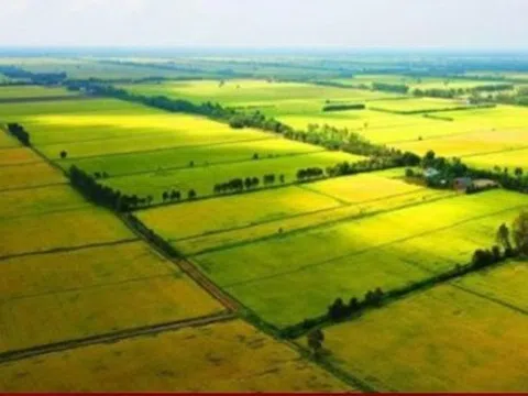 Nhà đầu tư lùng mua đất nông nghiệp, chờ thời tăng giá