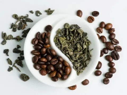 Thủ phủ trà Trung Quốc trở thành nơi dẫn đầu cả nước về sản lượng cà phê: Sự chuyển mình âm thầm nhưng quyết liệt