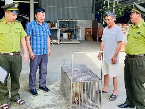 Cứu hộ 14 cá thể động vật hoang dã, bảo vệ nghiêm ngặt đàn cò quý hiếm tại Quảng Bình