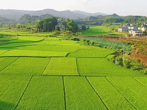 Chi tiết về hồ sơ, thủ tục khi người dân muốn xây nhà trên đất nông nghiệp theo Luật Đất đai mới