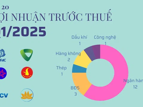 20 cái tên lãi lớn nhất quý 1/2025: Ngân hàng và BĐS áp đảo, chỉ có duy nhất 1 doanh nghiệp sản xuất