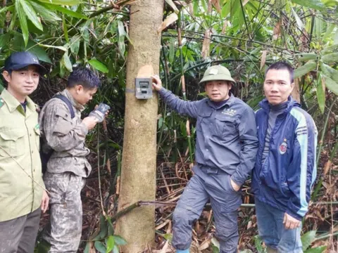 Người thầm lặng bảo vệ "lá phổi" ở VQG Vũ Quang - Kỳ 2: Những cuộc giải cứu thầm lặng