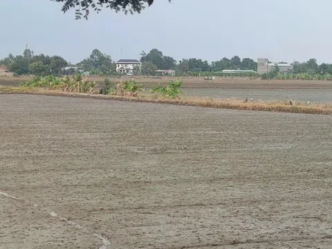 Chủ động điều chỉnh quy định về đất đai khi sáp nhập tỉnh, thành