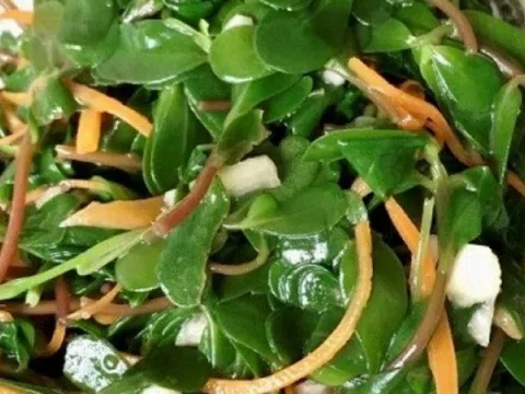 Loại rau mọc dại xưa làm thức ăn cho gia súc nay thành đặc sản được giới sành ăn truy lùng: Hương vị lạ, muốn mua phải đặt trước