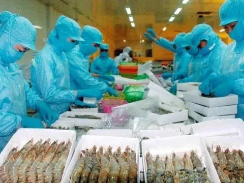 Mặt hàng tỷ đô dưới nước của Việt Nam bứt tốc xuất khẩu sang Mỹ, cạnh tranh trực tiếp với hàng Trung Quốc