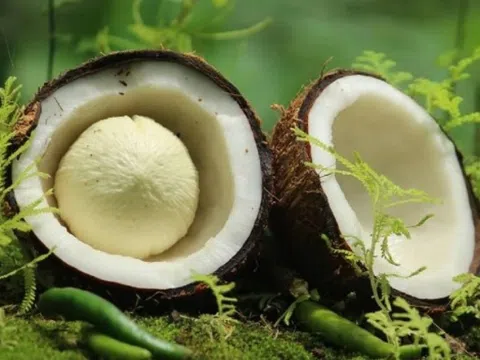 Giá loại quả khác biệt nhất lập đỉnh lịch sử, Việt Nam đặt mục tiêu xuất khẩu cán mốc 1 tỷ USD