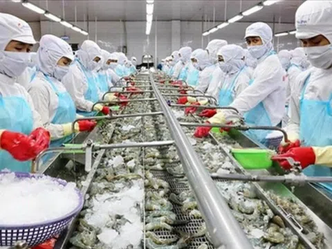Xuất khẩu thủy sản bùng nổ, cá ao làng của Việt Nam thu cả triệu đô